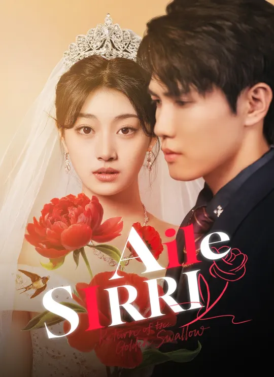 Aile Sırrı poster