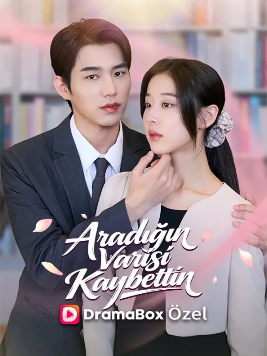 Aradığın Varisi Kaybettin poster