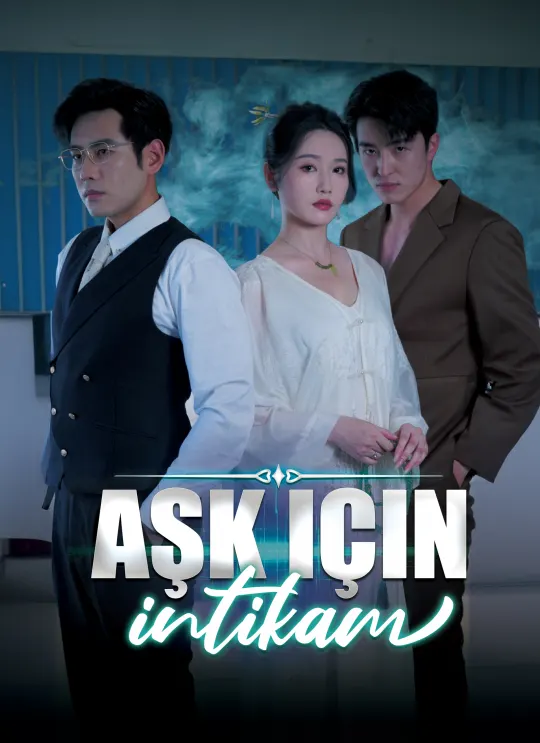 Aşk için intikam poster