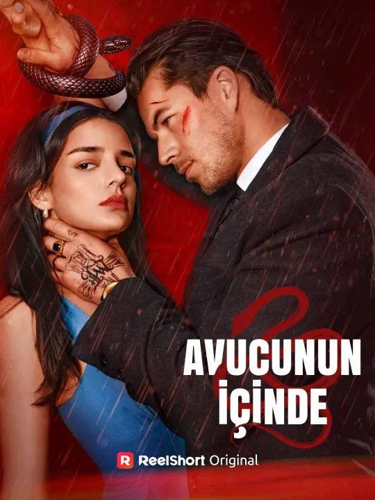 Avucunun İçinde poster