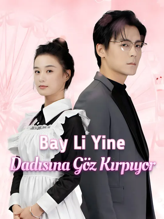Bay Li Yine Dadısına Göz Kırpıyor poster