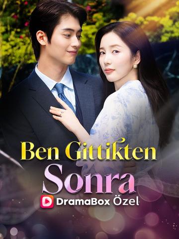 Ben Gittikten Sonra poster