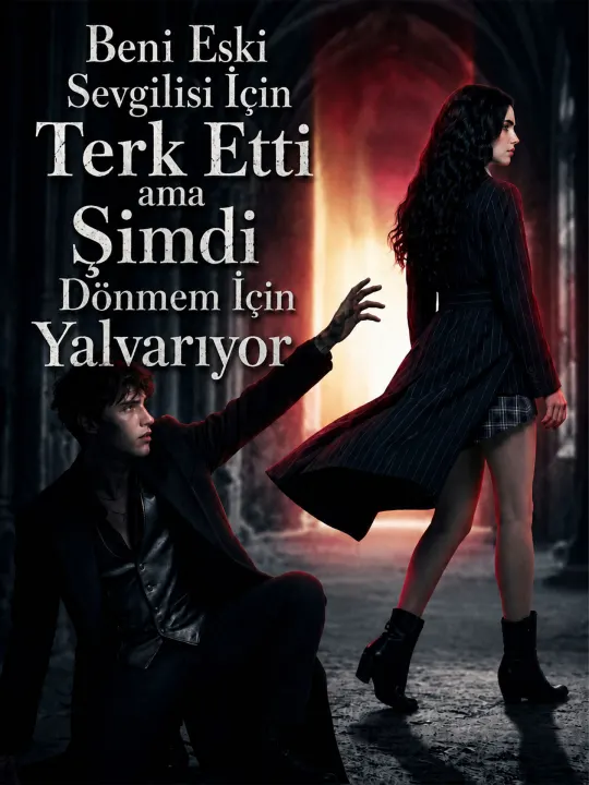 Beni Eski Sevgilisi İçin Terk Etti ama Şimdi Dönmem İçin Yalvarıyor poster
