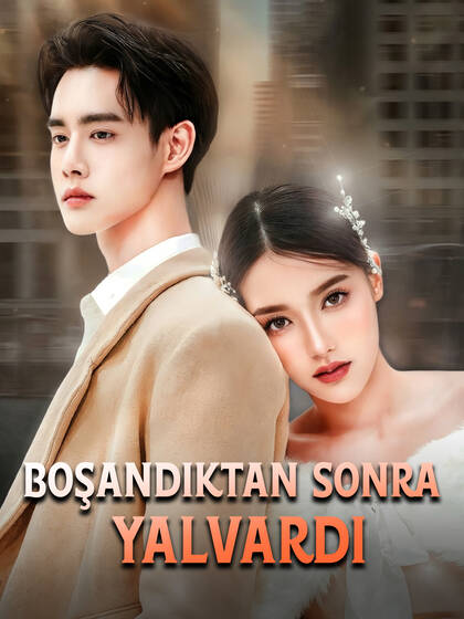 Boşandıktan Sonra Yalvardı poster