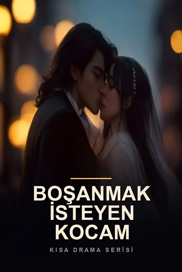 Boşanmak İsteyen Kocam poster