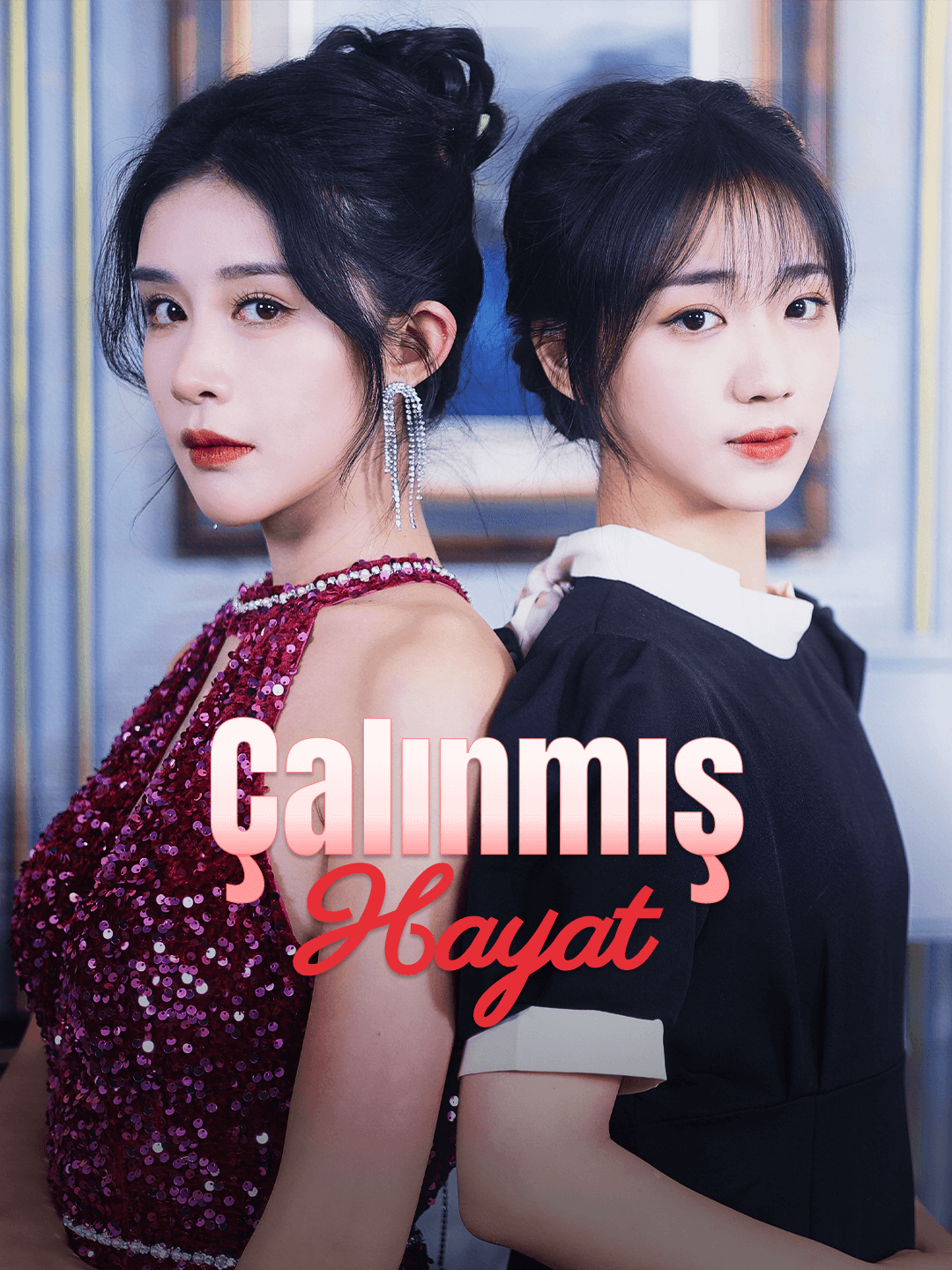 Çalınmış Hayat poster