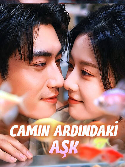 Camın Ardındaki Aşk poster