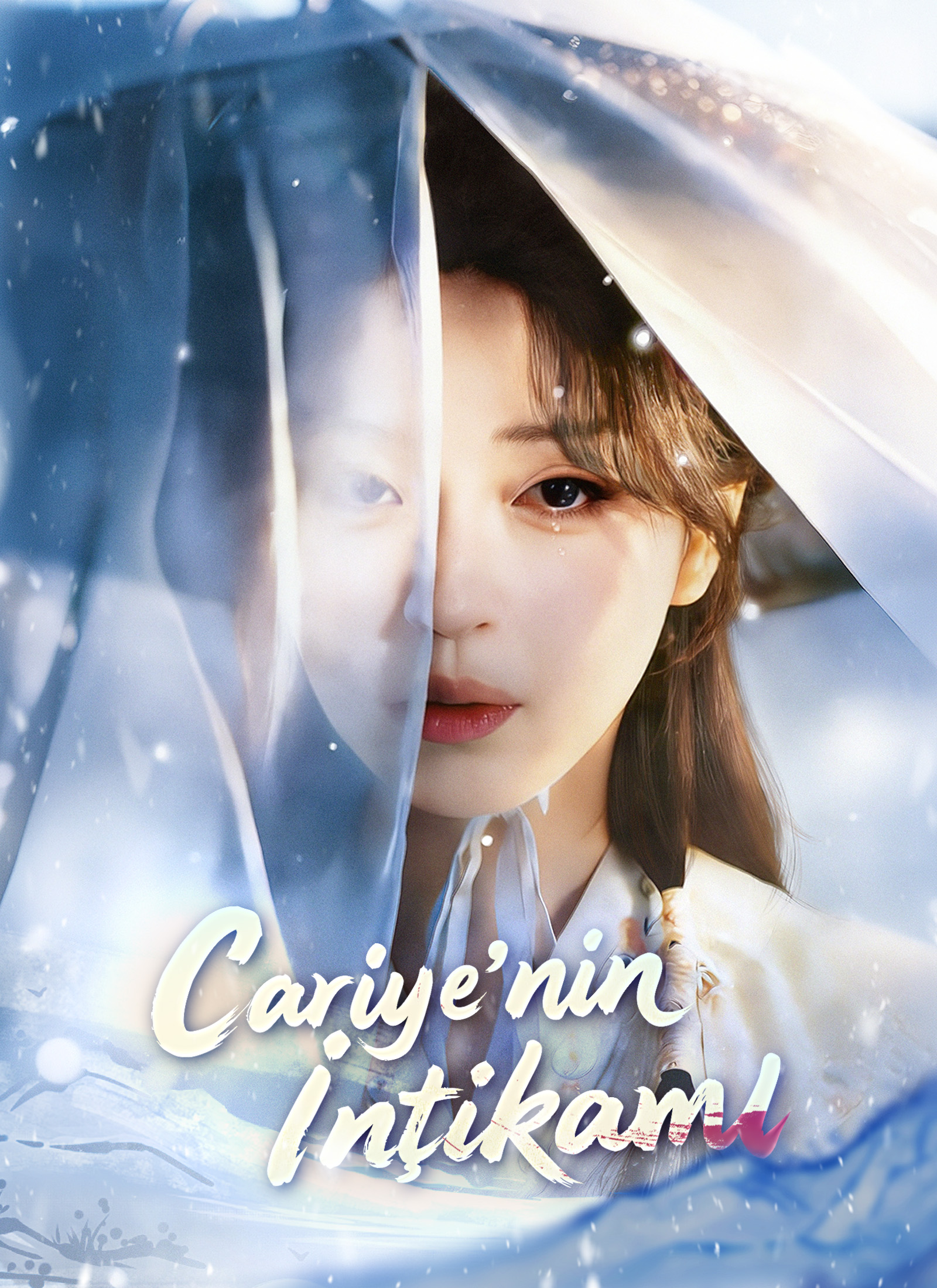 Cariye’nin İntikamı poster