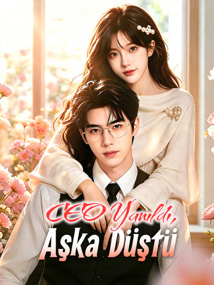 CEO Yanıldı, Aşka Düştü poster