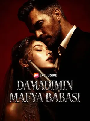 Damadımın Mafya Babası izle