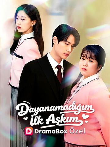Dayanamadığım İlk Aşkım poster
