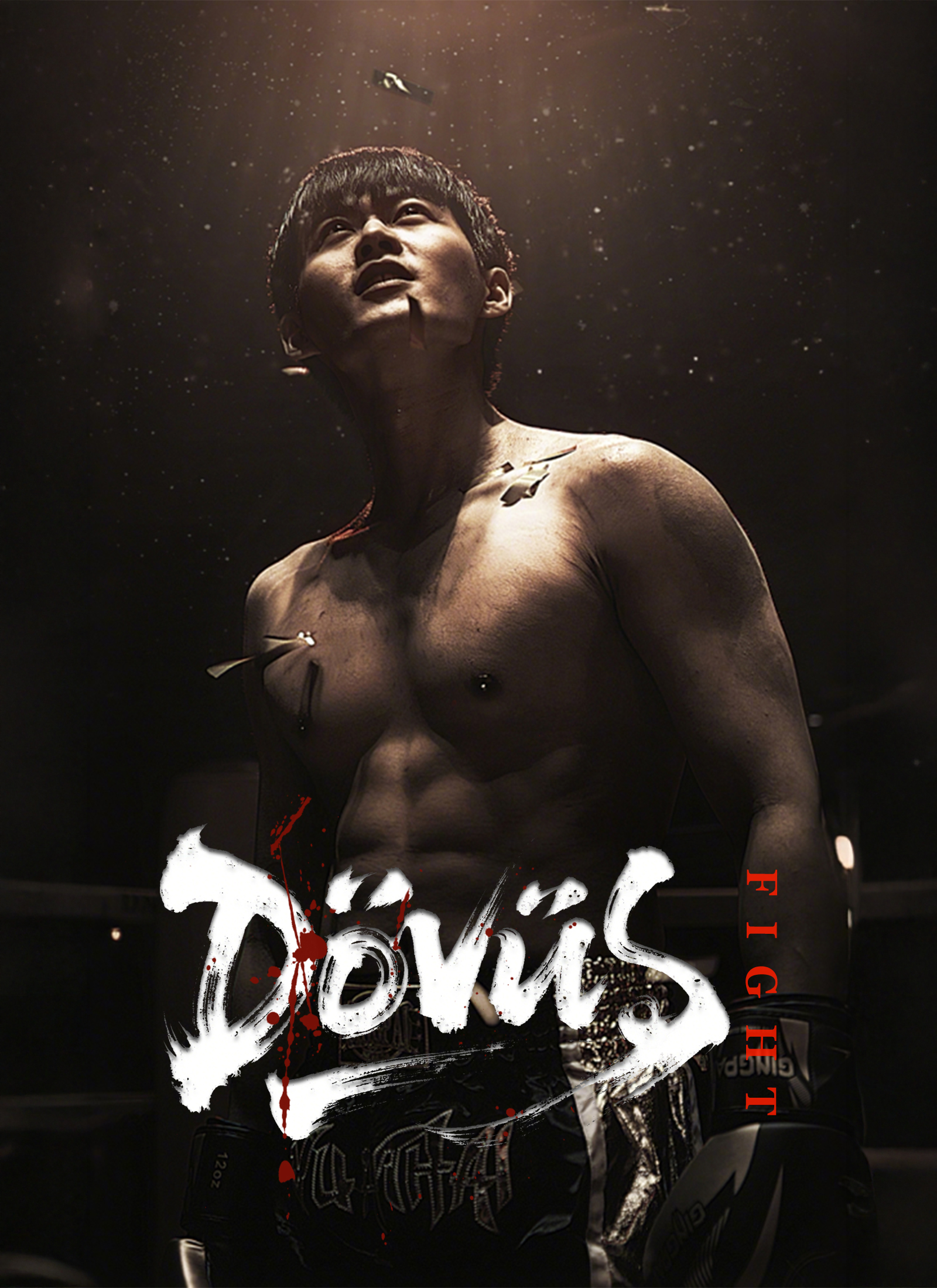 Dövüş poster