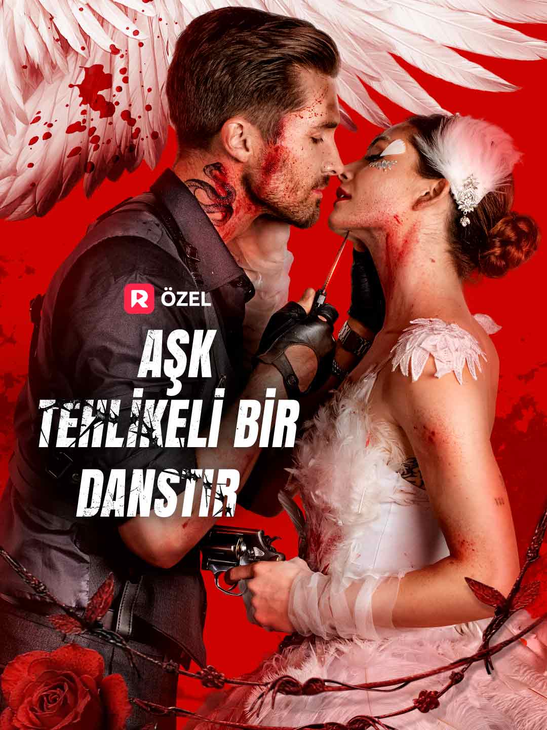 (Dublajlı) Aşk Tehlikeli Bir Danstır poster