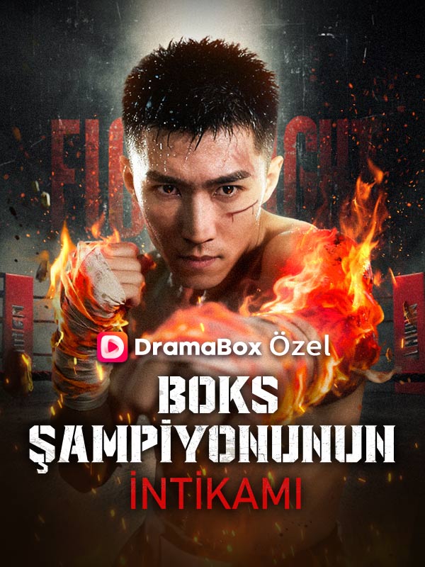 (Dublajlı ) Boks Şampiyonunun İntikamı poster