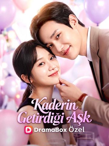 (Dublajlı) Kaderin Getirdiği Aşk poster