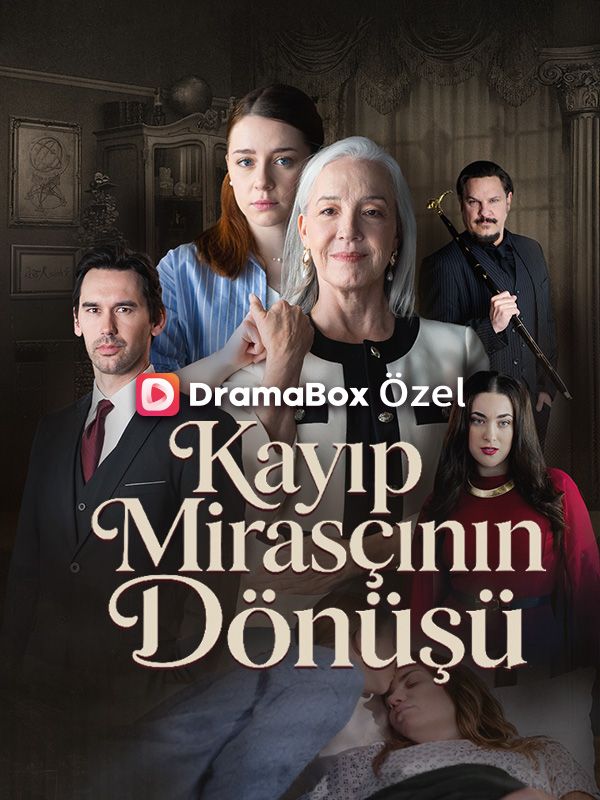 (Dublajlı) Kayıp Mirasçının Dönüşü poster