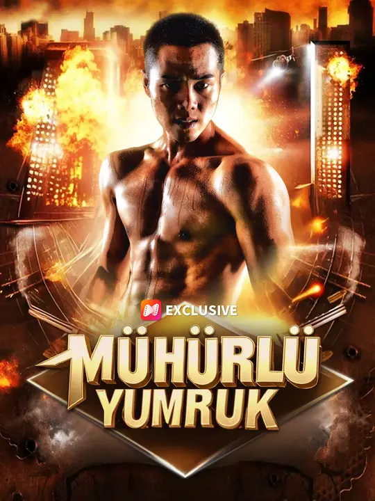 (Dublajlı) Mühürlü Yumruk poster