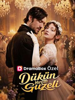 Dükün Hırçın Güzeli poster