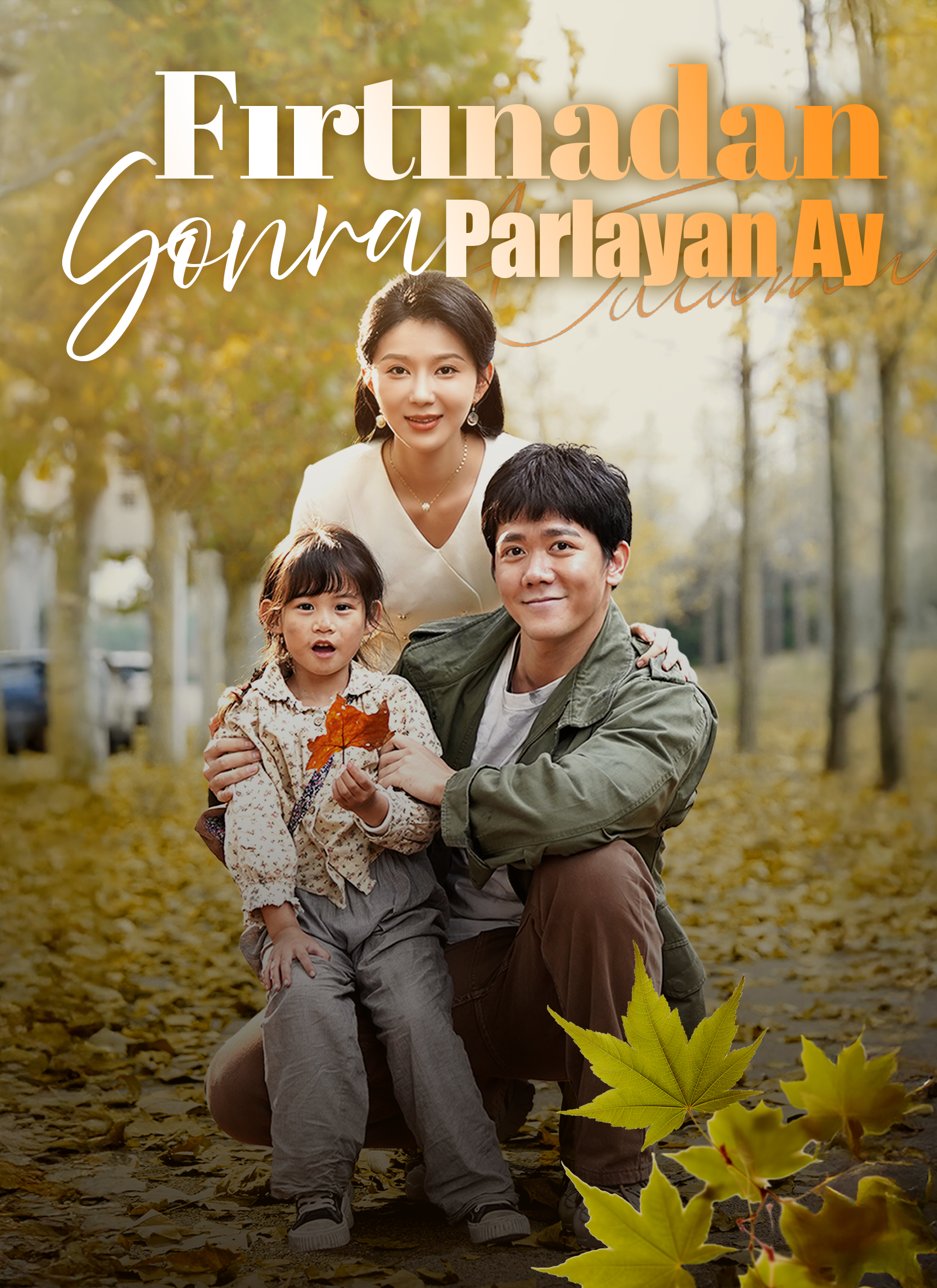 Fırtınadan Sonra Parlayan Ay poster