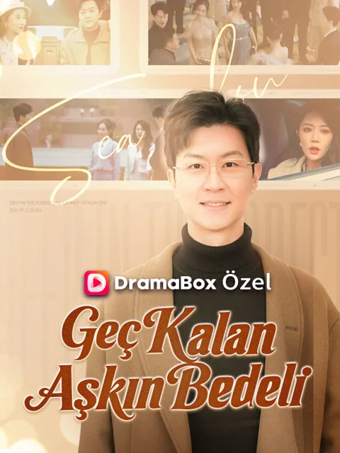 Geç Kalan Aşkın Bedeli poster