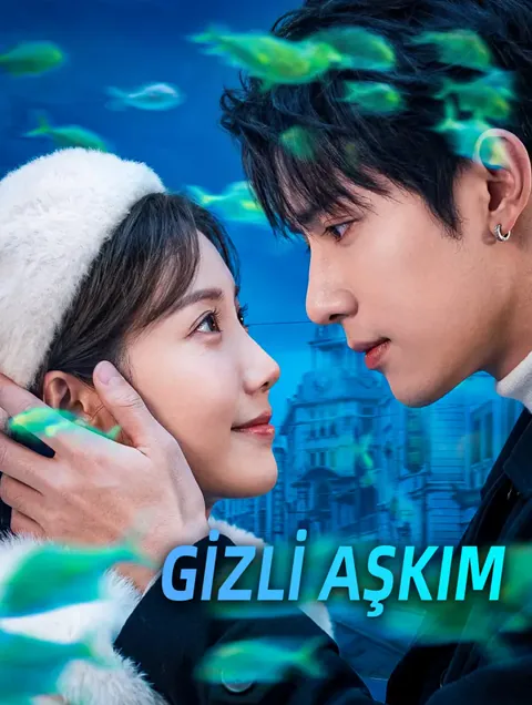 Gizli Aşkım poster