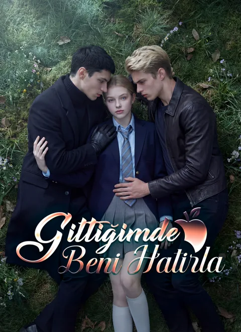 Gittiğimde Beni Hatırla poster