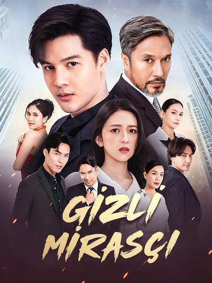 Gizli Mirasçı poster