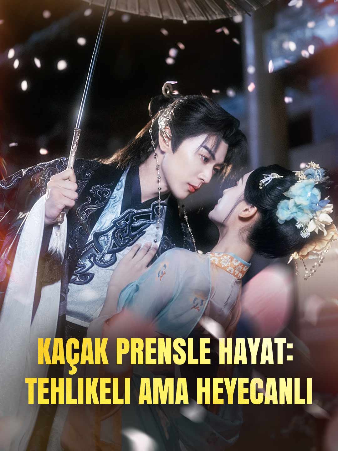 Kaçak Prensle Hayat: Tehlikeli Ama Heyecanlı poster