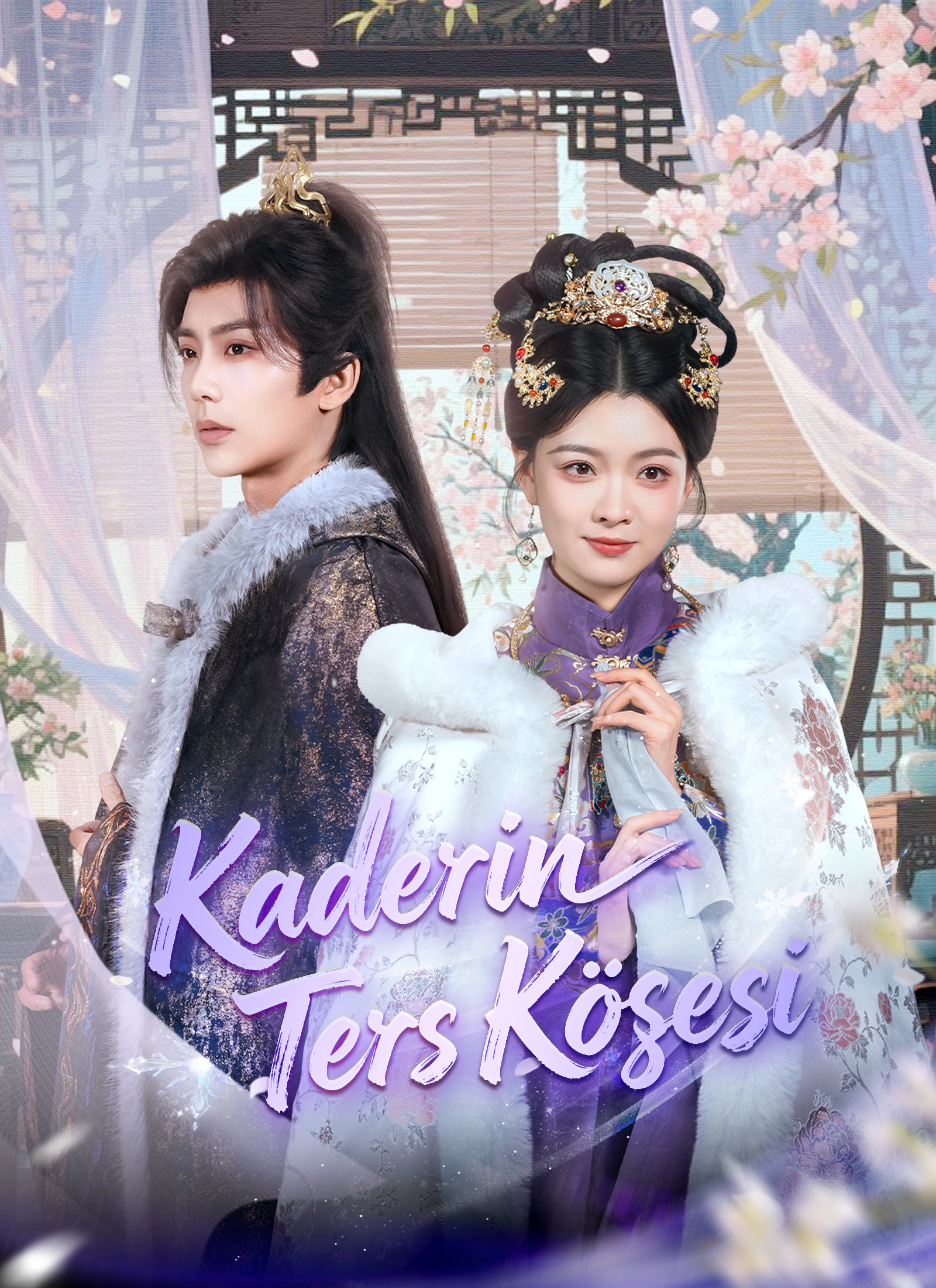 Kaderin Ters Köşesi poster