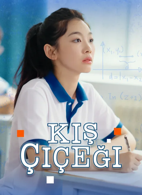 Kış Çiçeği poster