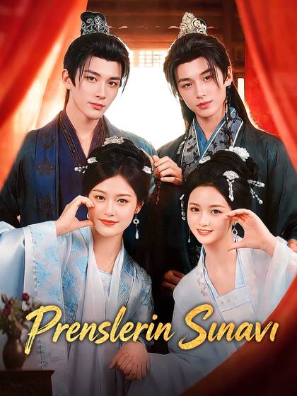 Prenslerin Sınavı poster