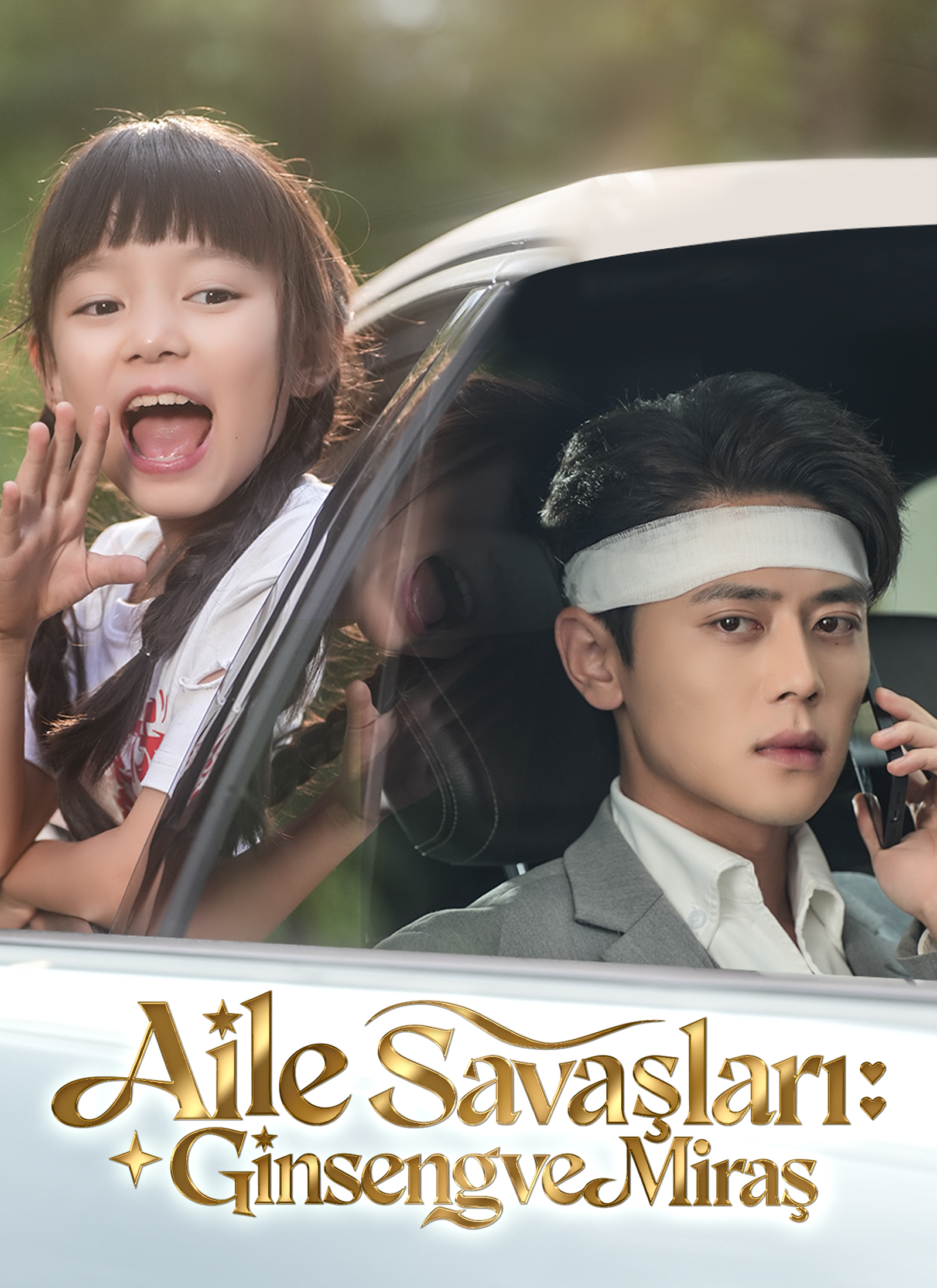 Şahin Ailesinin Şifacısı poster