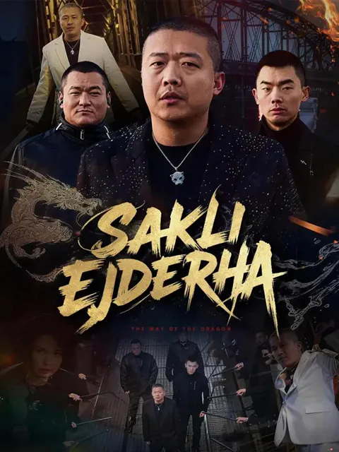 Saklı Ejderha poster
