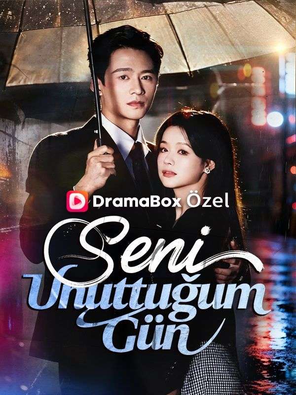 Seni Unuttuğum Gün poster