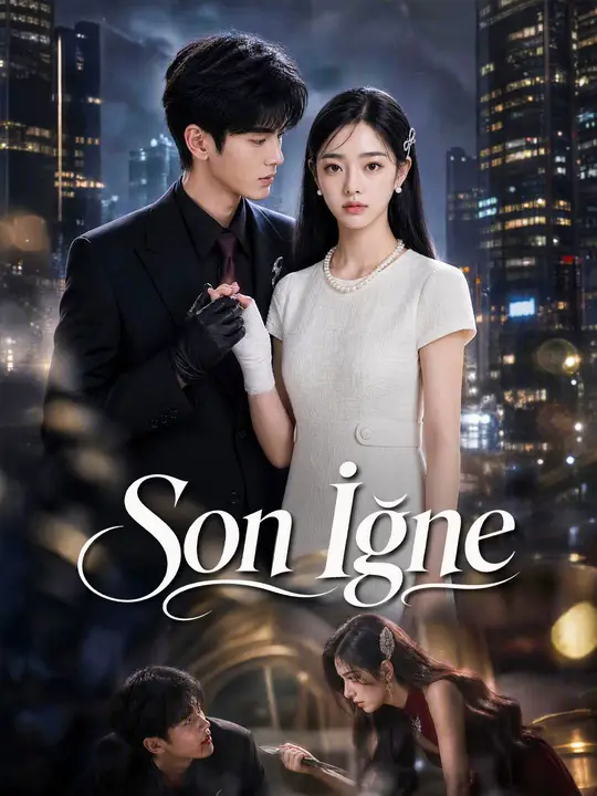 Son İğne poster