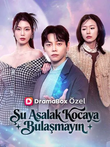 Şu Asalak Kocaya Bulaşmayın poster
