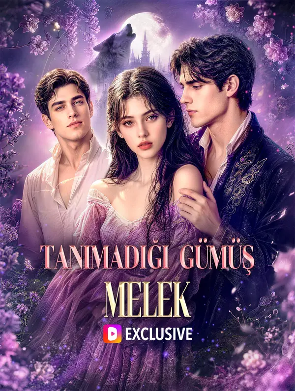 TANIMADIĞI GÜMÜŞ MELEK(Dublajlı) poster
