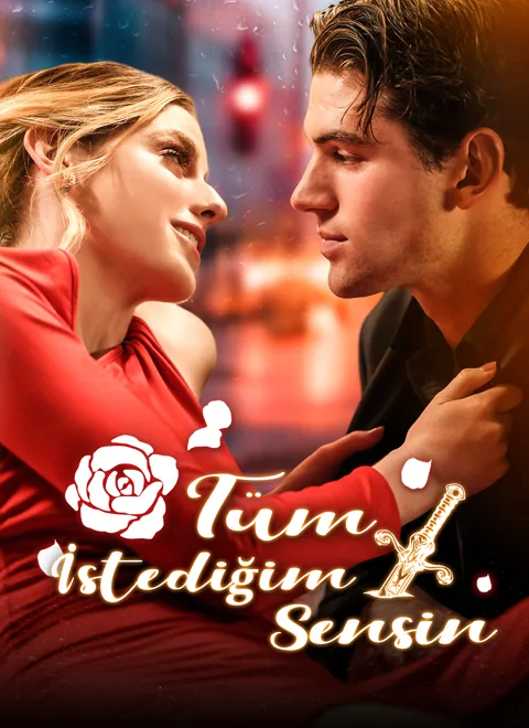 Tüm İstediğim Sensin poster