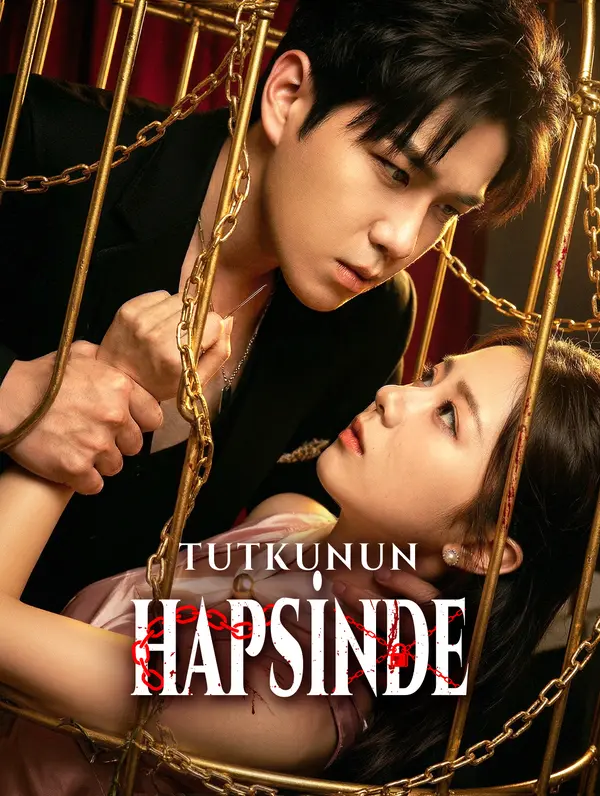 Tutkunun Hapsinde poster