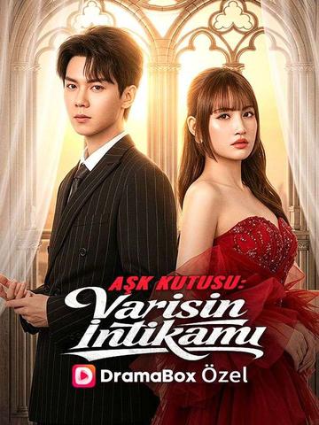Varisin İntikamı poster