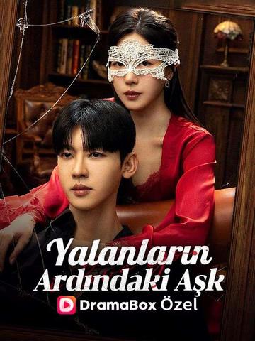 Yalanların Ardındaki Aşk poster